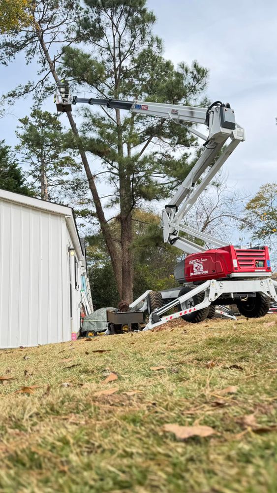 All Photos for Owens Tree Services in Inman, SC