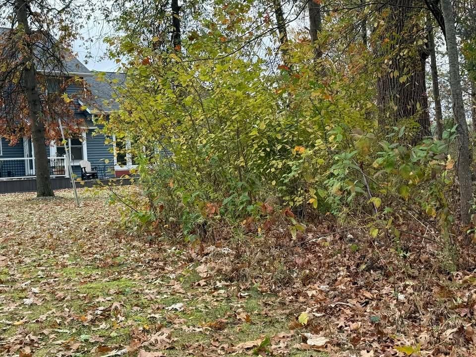 All Photos for F&R Landscapes in Lagrange, OH