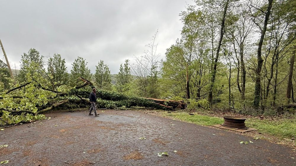All Photos for Chipper's Tree Service  in Fort Payne, AL