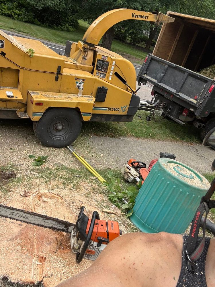 Tree Removal for Dwights Tree Service LLC in Middleborough, MA