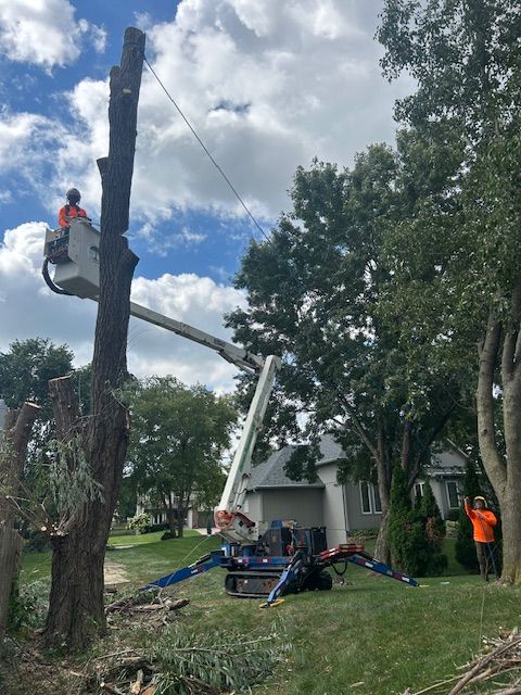 All Photos for Cross Family Tree Service in Kearney, MO