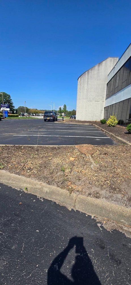All Photos for Beach Tree Care in Virginia Beach, VA