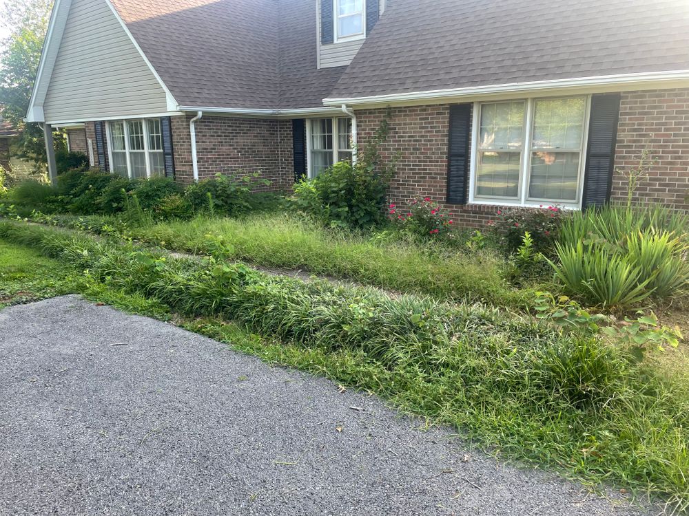 Before and after  for Optimum Tree Service And Landscaping in Bowling Green, KY