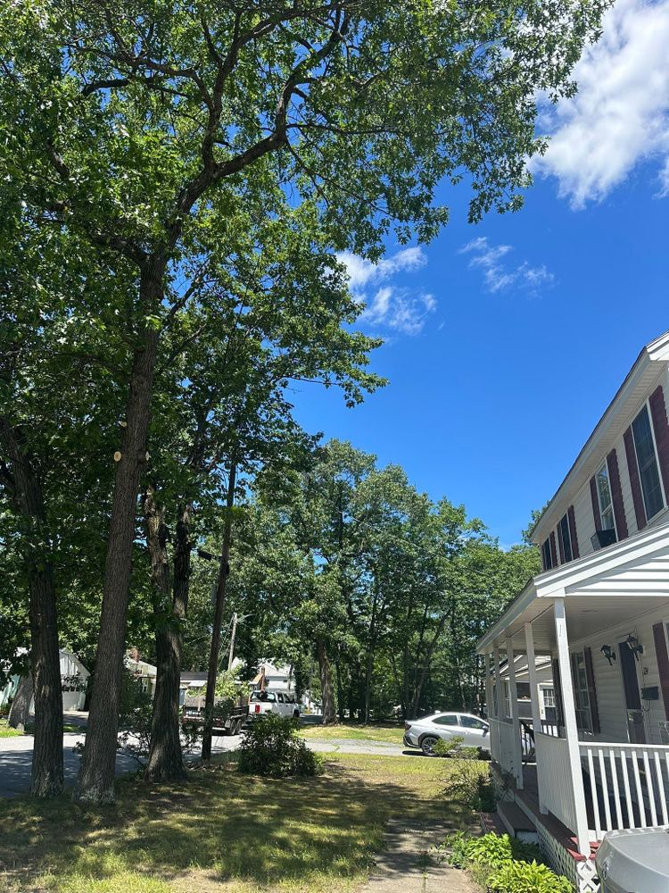 All Photos for Leaf and Limb in Townsend, MA