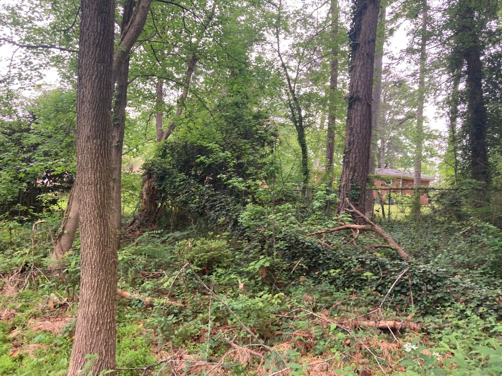 All Photos for Aries Lawnscapes in Atlanta, GA