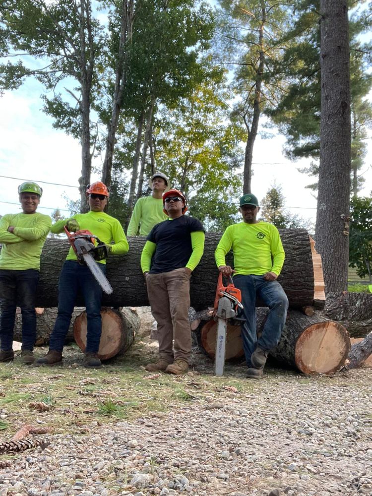 Tree Removal for Green In Green Out Tree Services in Westbrook, ME