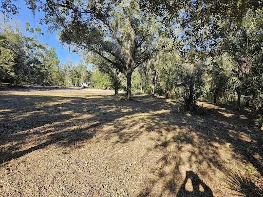 All Photos for J & E Land Clearing, LLC. in Dunnellon, FL