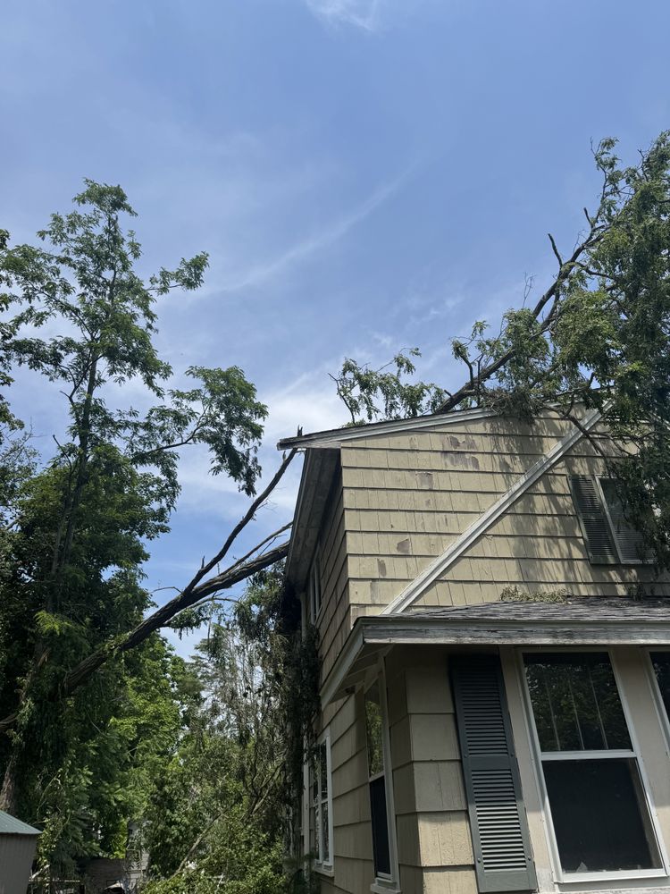 Storm Clean-up for Robery's Tree Service in West Wareham, MA