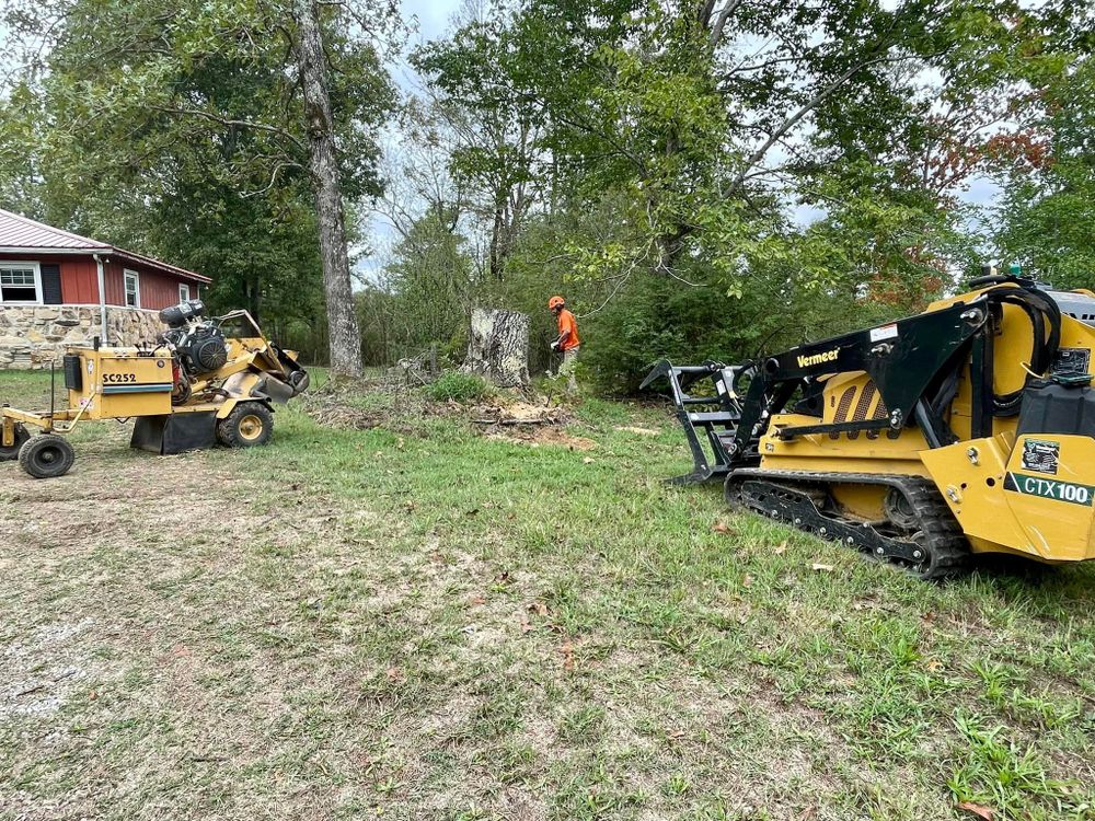 Tree Removal for Ross Family Tree Service LLC  in Hohenwald, TN