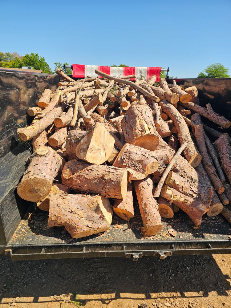 All Photos for T's Tree Service and Firewood in Apache Junction, AZ