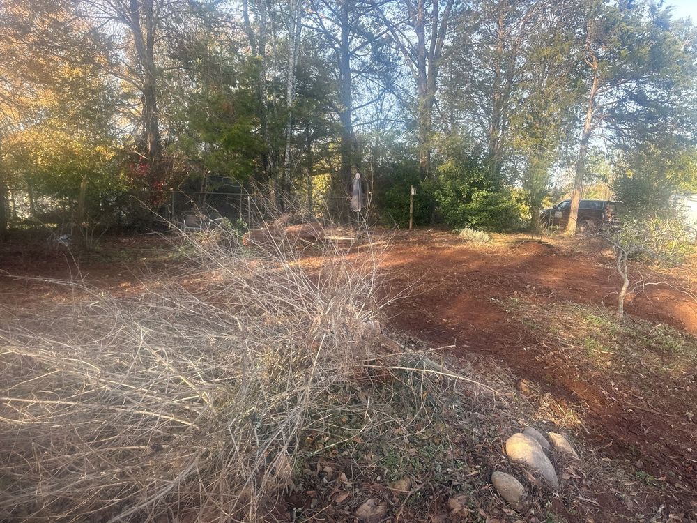 Tree Removal for Rescue Grading & Landscaping in Marietta, SC