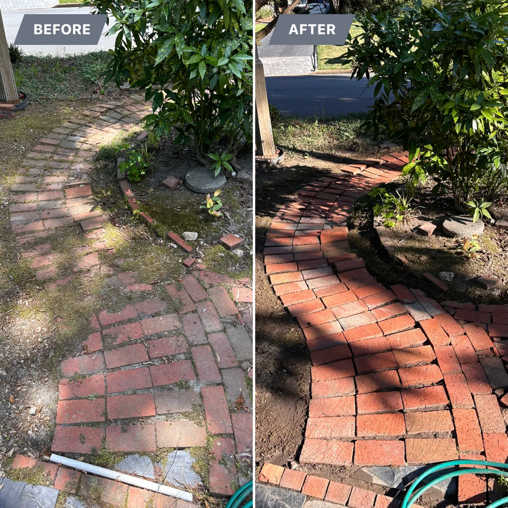 All Photos for LeafTide Solutions in Richmond, VA