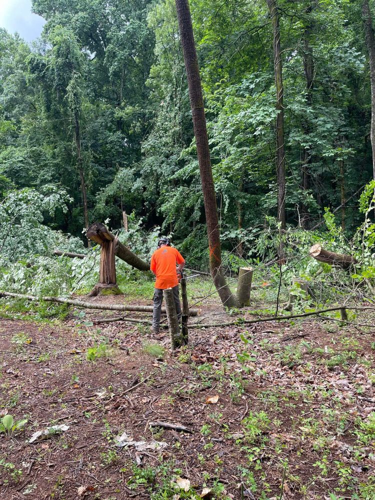 All Photos for Lucky’s Tree Removal and Landscape Services in Knoxville, TN