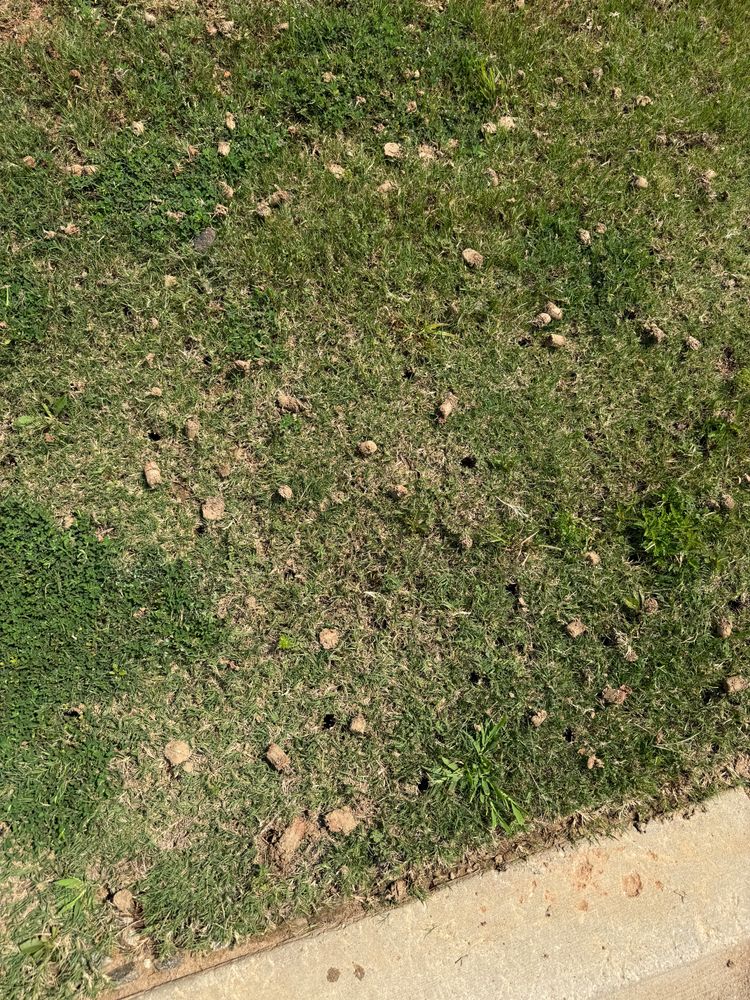 All Photos for Amerigreen Lawn & Landscape in Duluth, GA