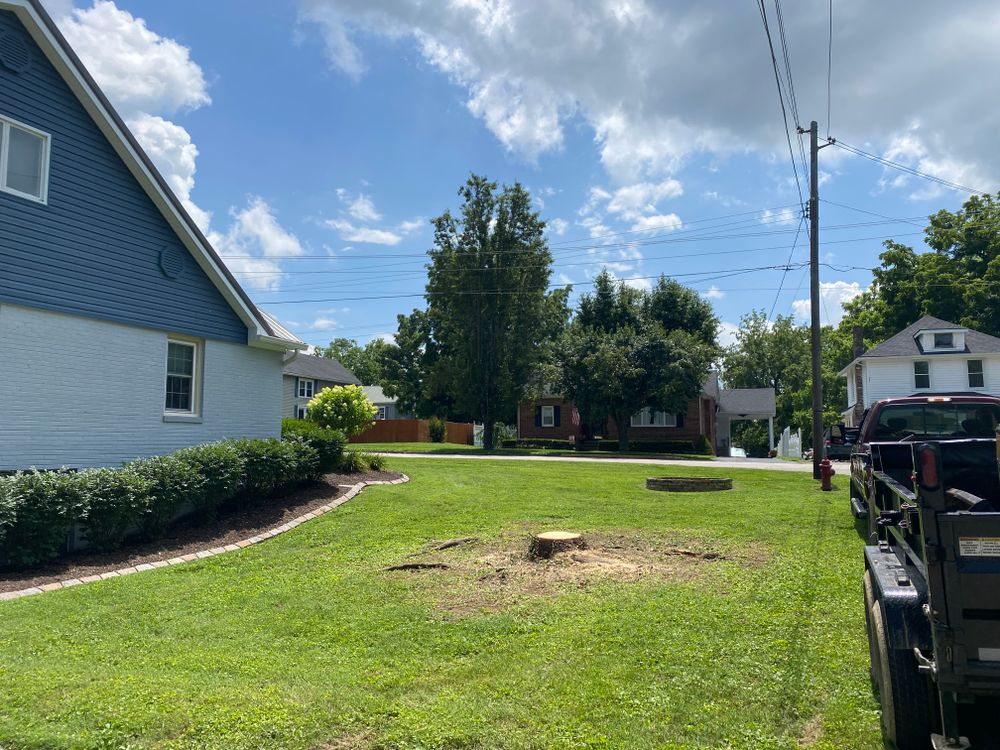 All Photos for Houtz Tree Service in Lexington, KY