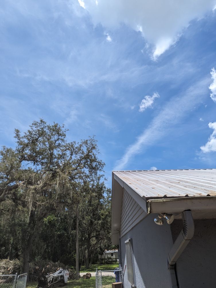 All Photos for Regal Tree Service and Stump Grinding in Wauchula, FL