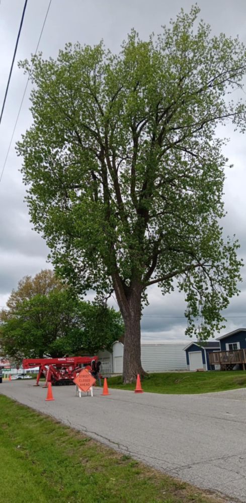 All Photos for Lawn Ranger Yard And Tree Service LLC in Ottumwa, IA