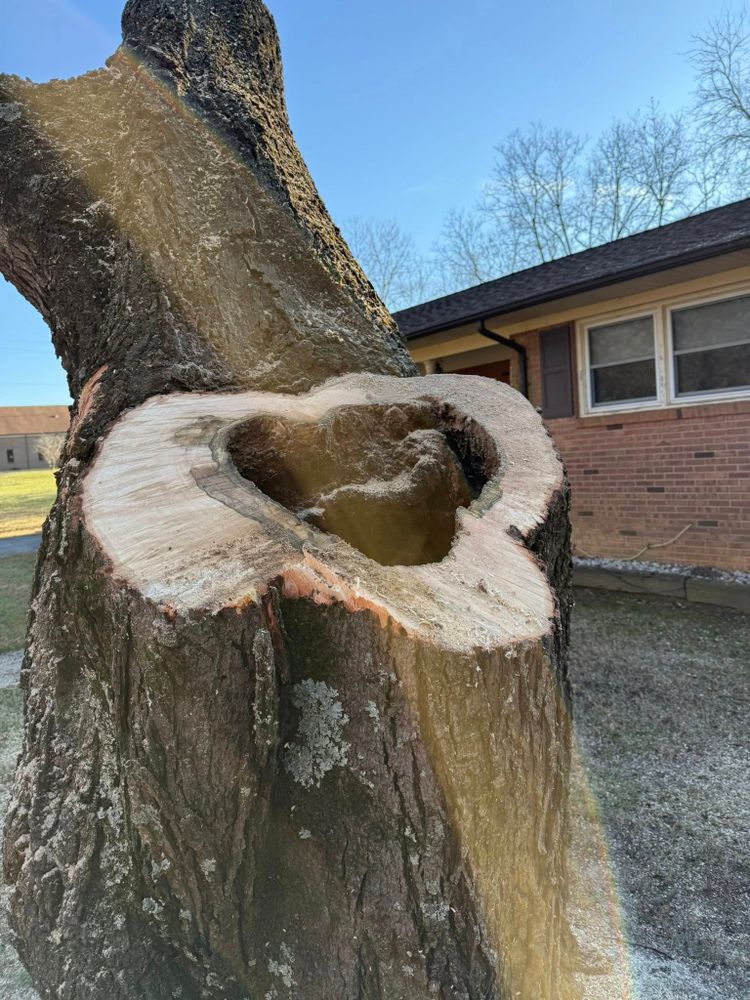 All Photos for Down South Tree Care and Landscaping in Maiden, NC