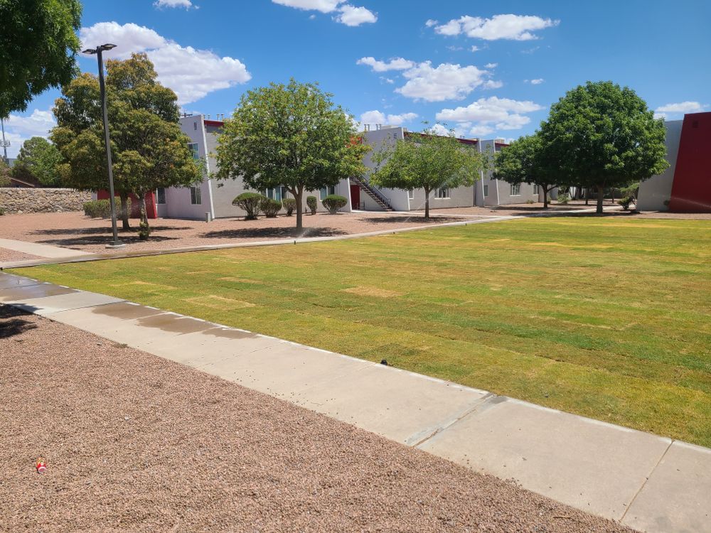 Commercial Sod & Irrigation for ADM Landscaping & Irrigation LLC in El Paso,  TX