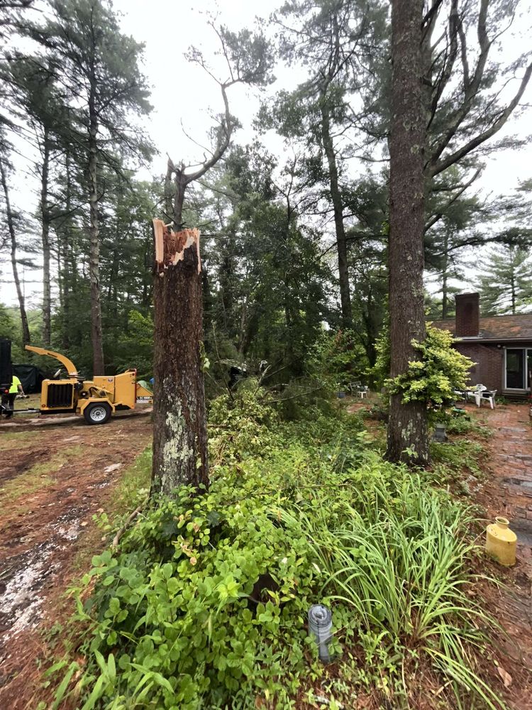 Storm Clean-up for Robery's Tree Service in West Wareham, MA