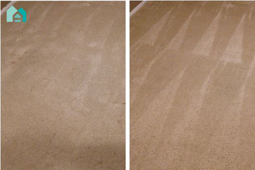 Residential - Carpet & Tile Cleaning for Appealio in Gainesville, FL