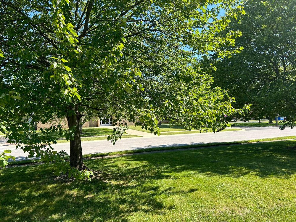 All Photos for Bearforce Lawn Care LLC in Greenfield, IN