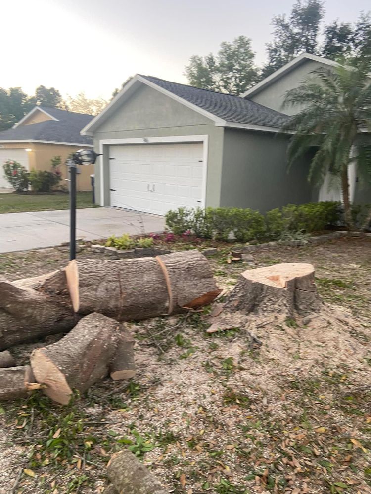 All Photos for Efficient and Reliable Tree Service in Lake Wales, FL