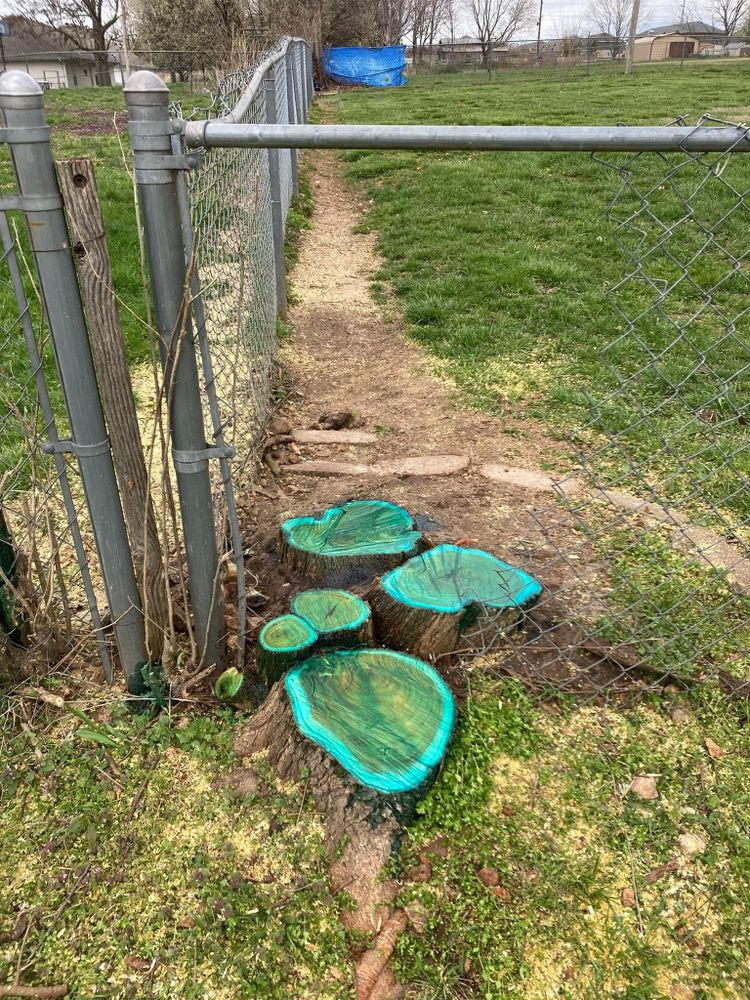 All Photos for 5150 Mowing Services in Springfield, MO