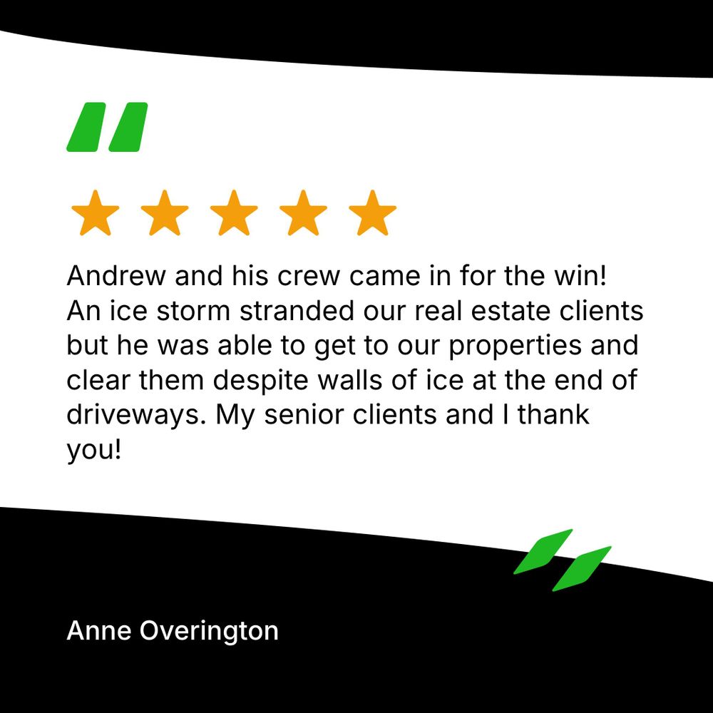 All Photos for Branch Out Tree Care LLC in Fredericksburg, VA