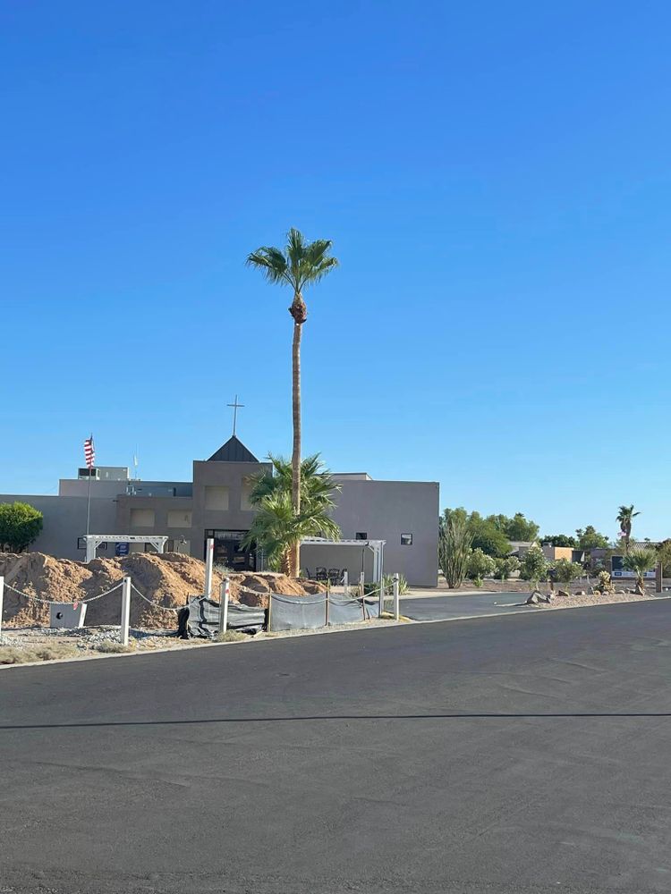 Tree Removal for Oliver L. Palm & Tree services in Yuma County, AZ