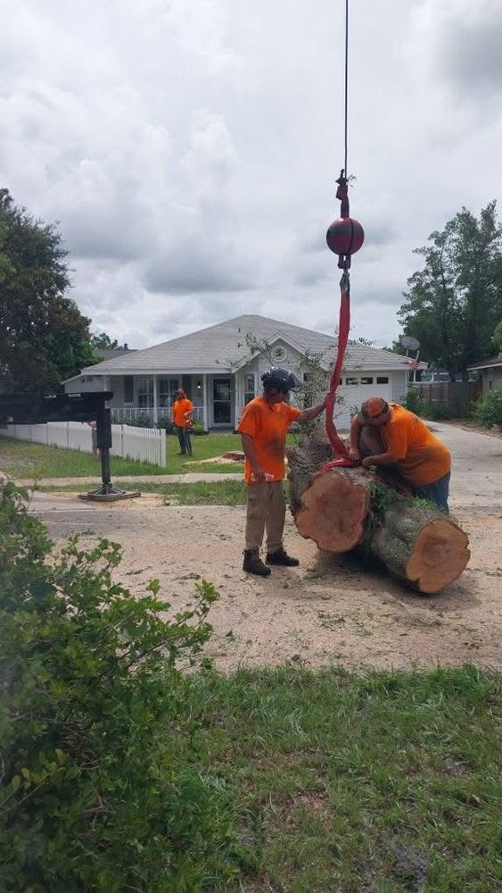 All Photos for Daniel Hickey’s Tree Service in DeLand, FL