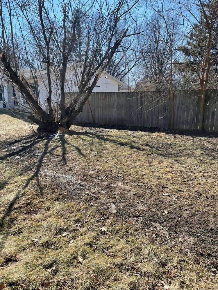 All Photos for Henry's Lawn Care in Rockford, IL