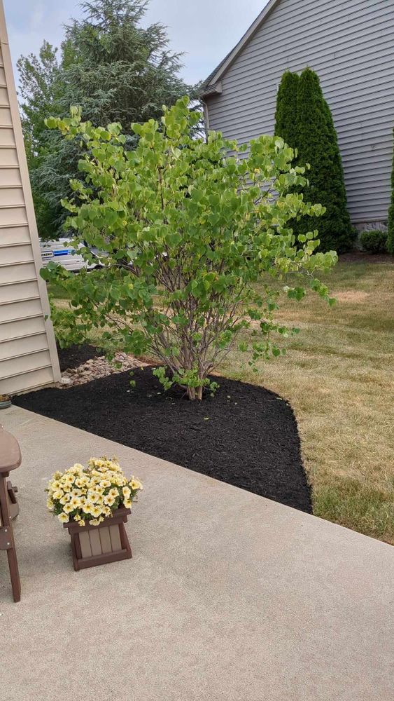 Landscaping for Conoy Acres Lawn Service in Elizabethtown, PA