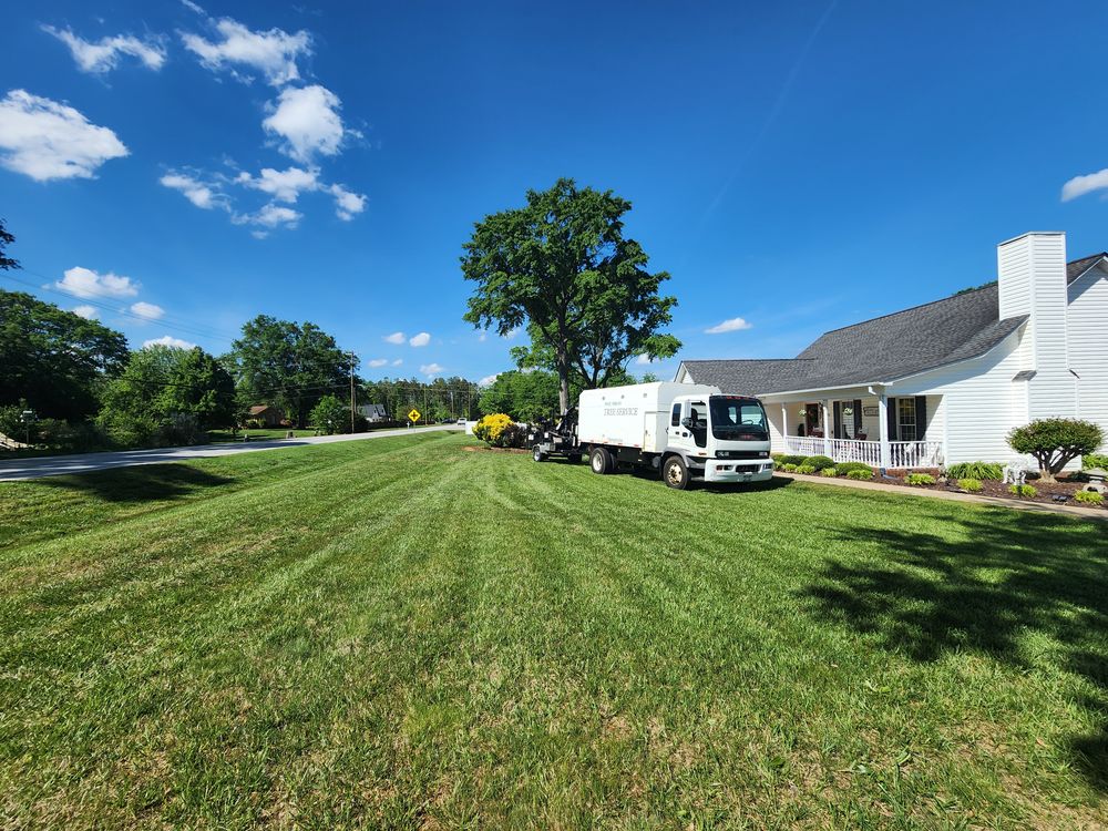 All Photos for Owens Tree Services in Inman, SC