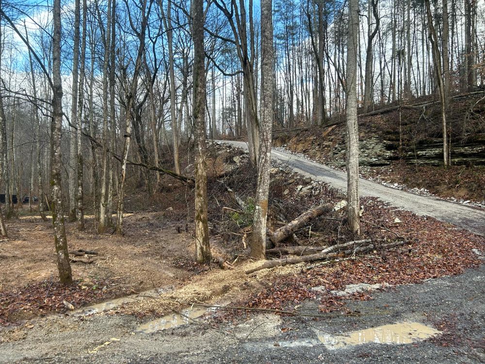 All Photos for Z's Land Management & Forestry Mulching in Smithville, TN