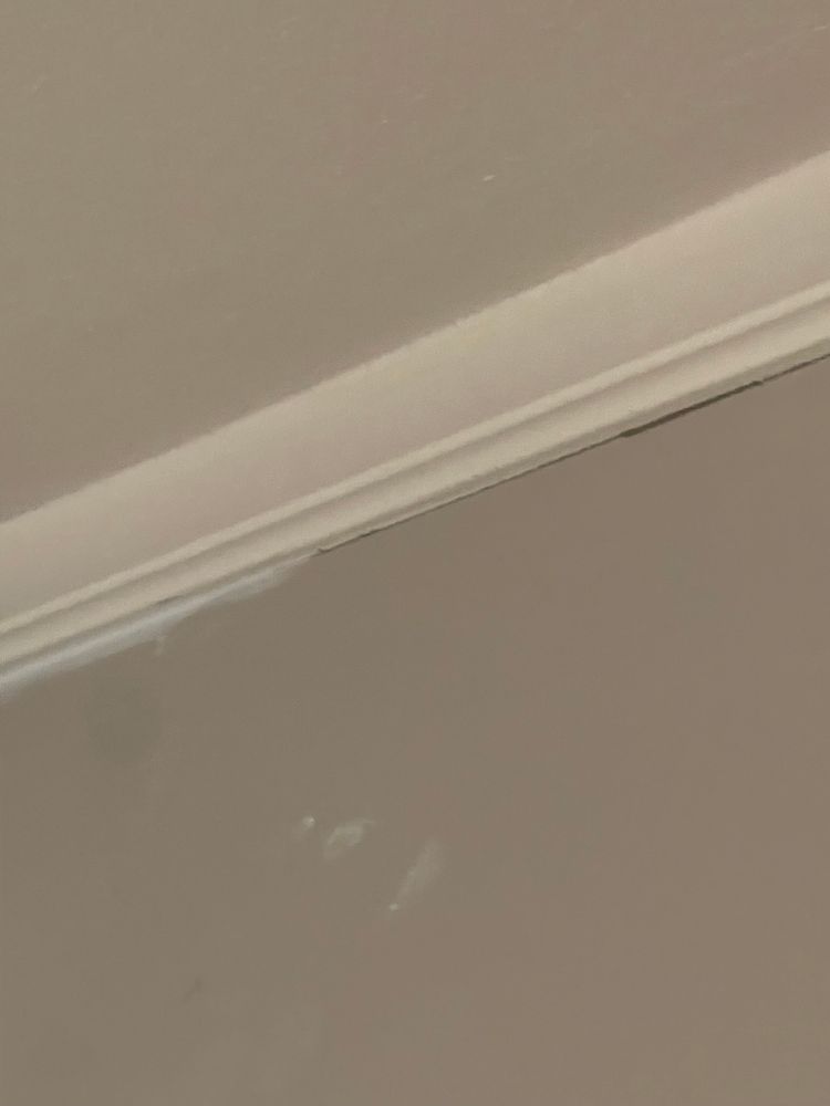 All Photos for Tony's Remodeling & Painting in Renton, WA