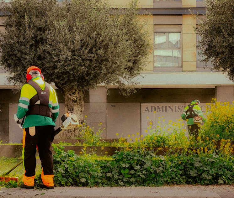 Our Fall Clean Up service prepares your yard for winter with leaf removal, debris clearing, and lawn care to ensure a tidy and healthy landscape ready for the new season. for Valdez Landscaping and Lawn Services in Port St. Lucie, FL