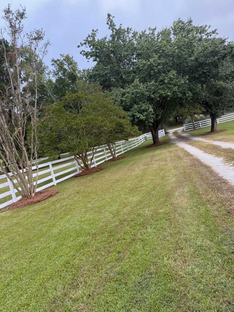 All Photos for Tri-P Services in Athens, GA