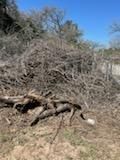 All Photos for Oviedo Land & Garden in Bastrop, TX