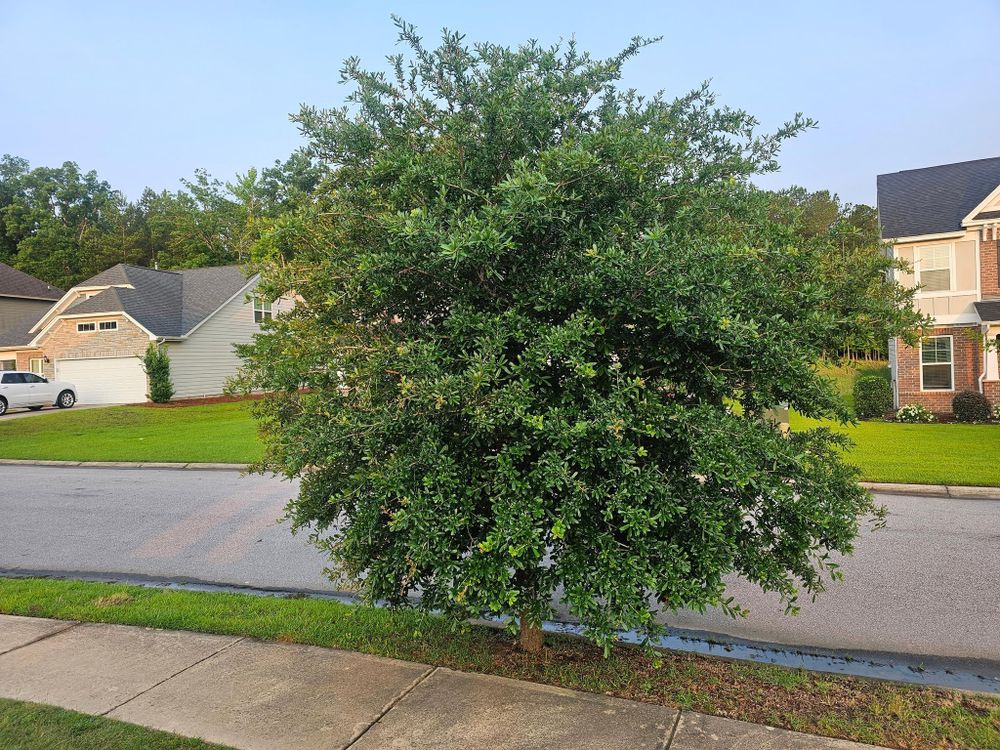 All Photos for 1 Man Does It Lawn Service in Blythewood, SC