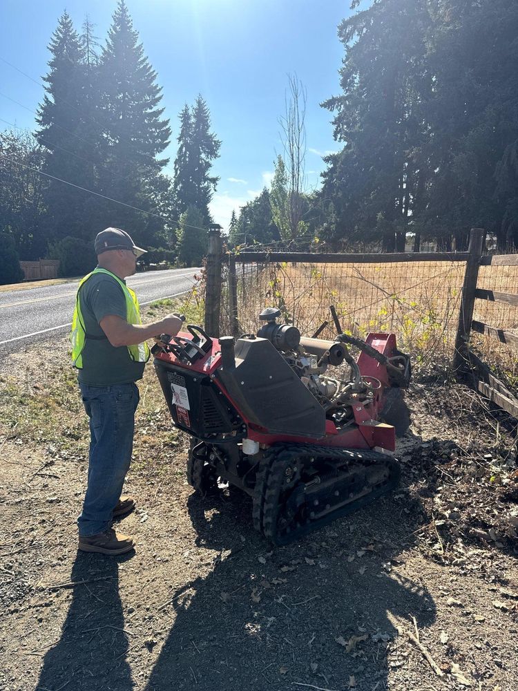 All Photos for Willamette Landscaping and Tree Services in Albany, OR