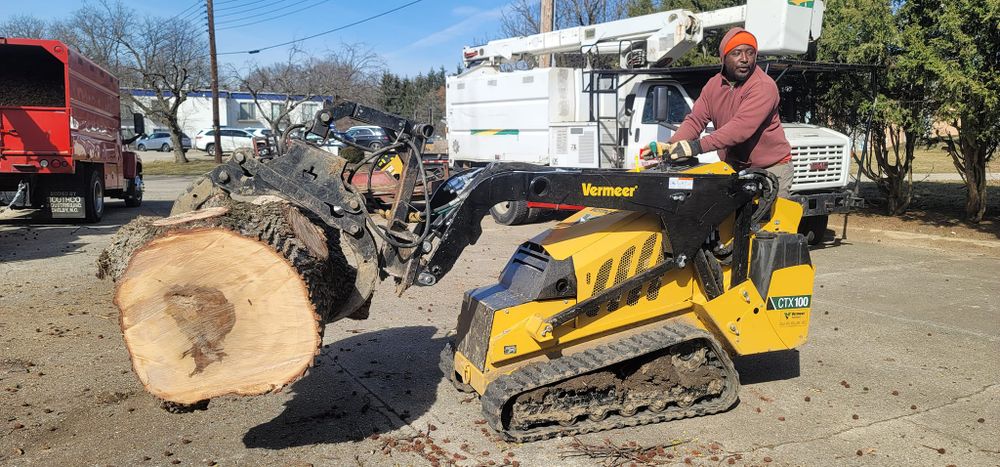 Tree Trimming and Removal for F & F Tree Service in Beavercreek, OH