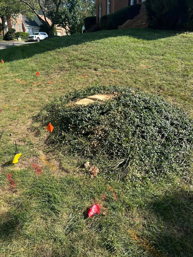 Tree Removal for Mad Dust Stump Grinding in Howard County, MD