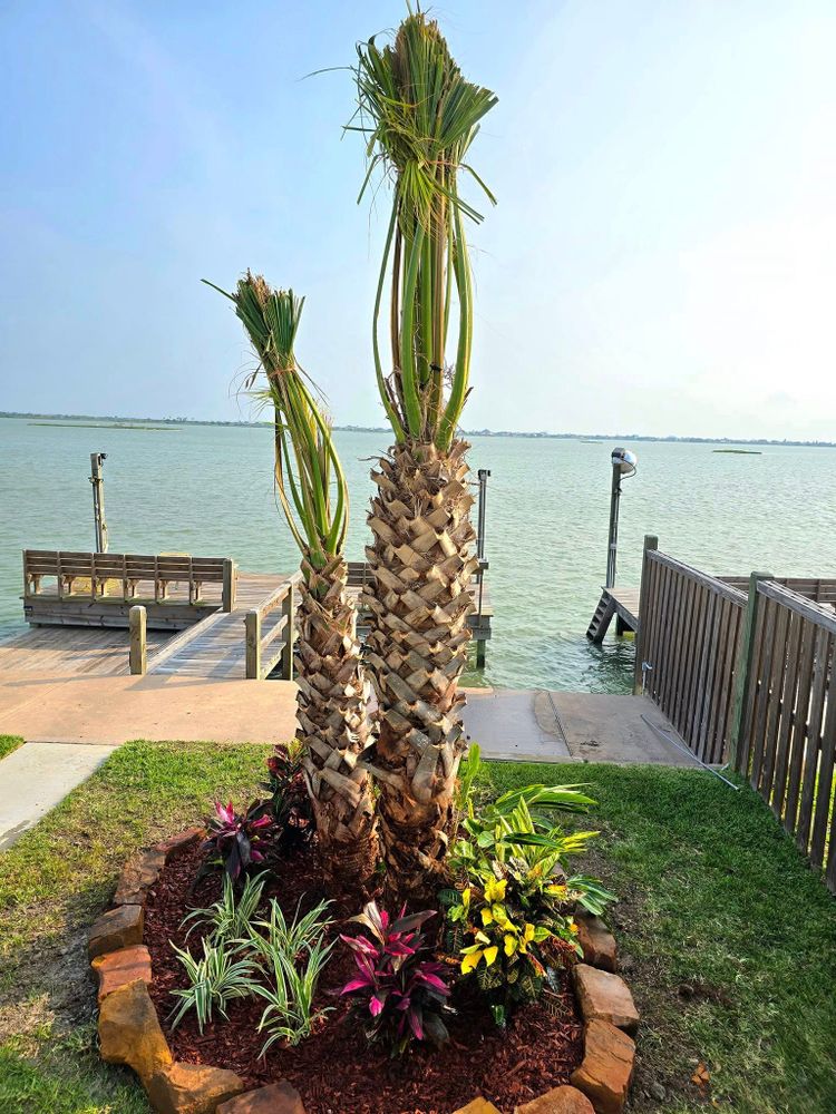 All Photos for CRM Palm & Landscaping in Rockport, TX