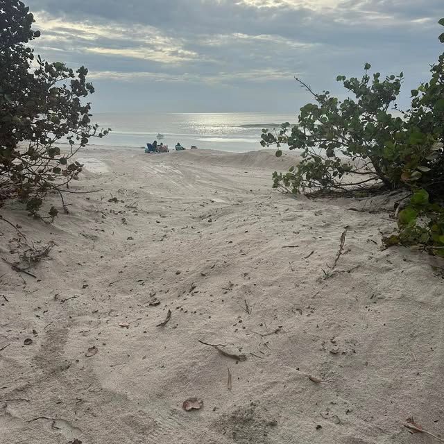 All Photos for Legends Land Clearing & Excavation in Burnet County, TX