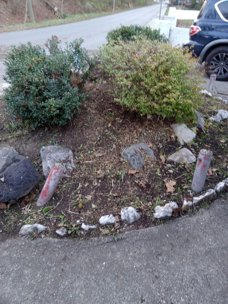 Fall and Spring Clean Up for Hayes Tree And HandyMan Services LLC in , 