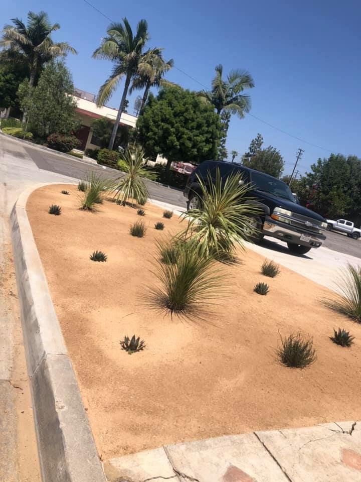 Our landscape design service creates beautiful, functional outdoor spaces tailored to your home, lifestyle, and budget—blending plants, hardscapes, and layout planning into a cohesive vision you’ll love. for Green Planet Services in La Habra Heights, CA