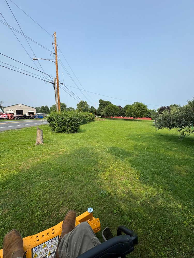 All Photos for Landscape & Lawn Care Pros in Temple, PA