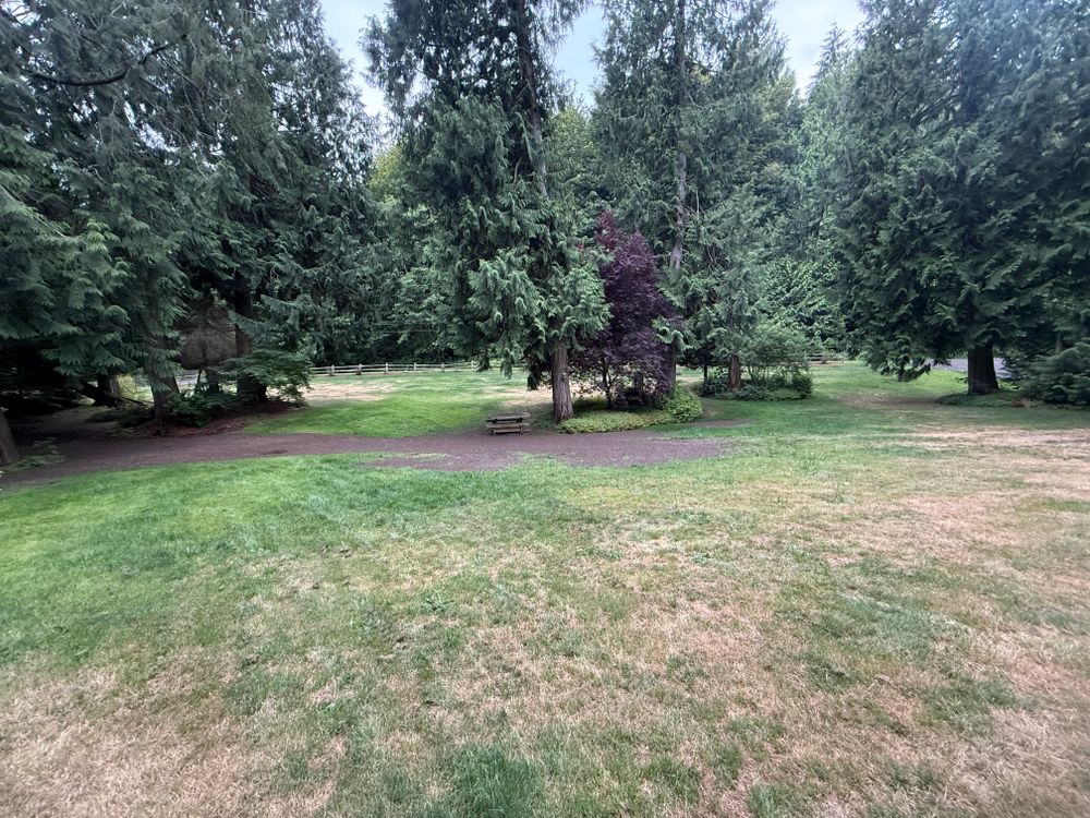 All Photos for AR Trucking & Excavation LLC in Stanwood, WA