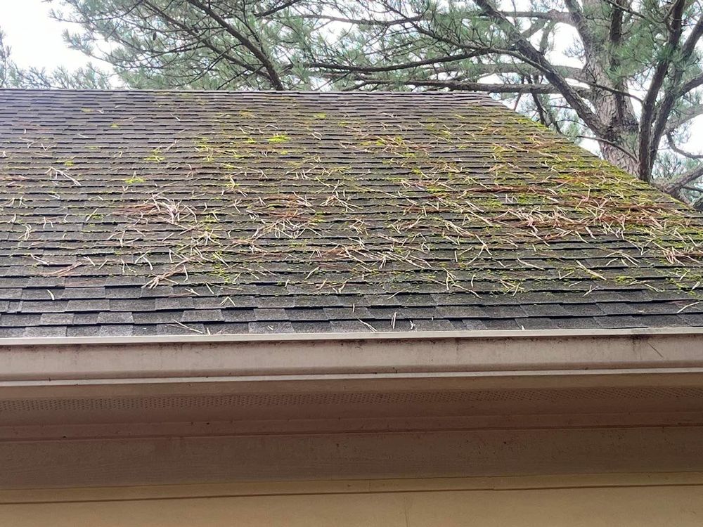 All Photos for Honey Do Oxford Pressure Washing and Soft Washing in Oxford, Mississippi